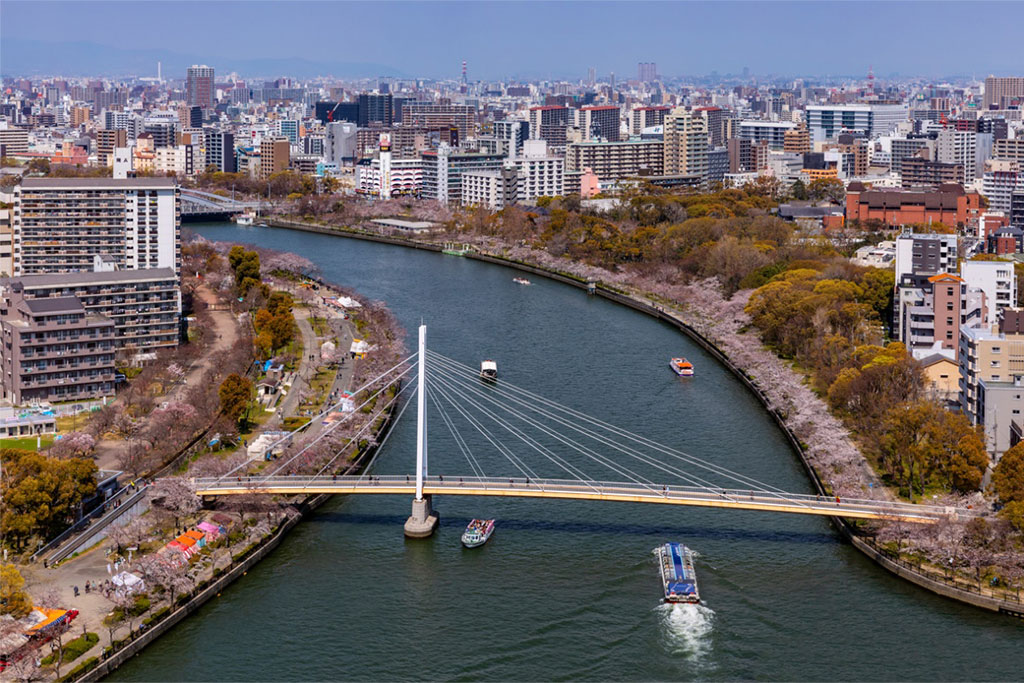 大川の両岸に桜並木
